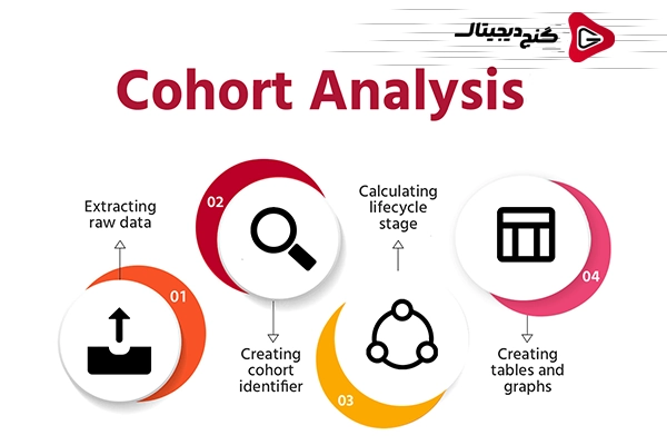 اجزای آنالیز کوهورت و اهمیت آنها